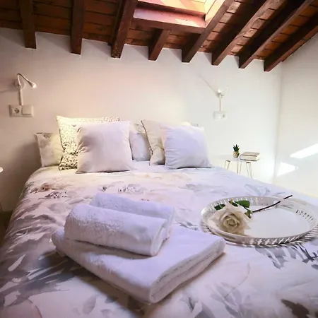 Carmen Apartment Malaga